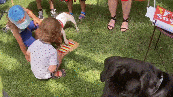 Zbliżenie na dzieci i psa